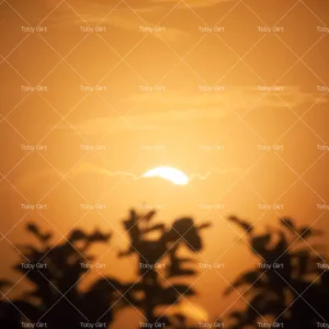 DIGITAL Golden hour sunset