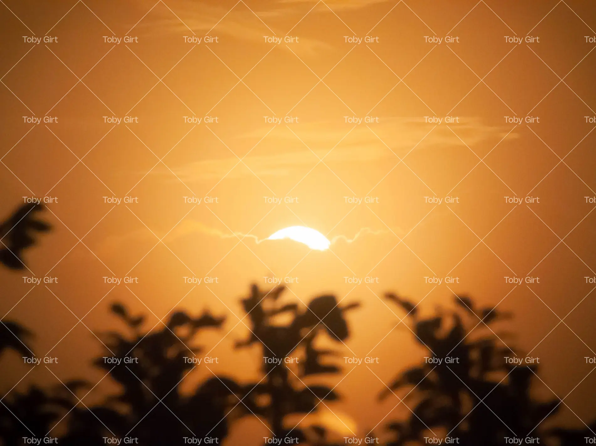 Golden hour sunset