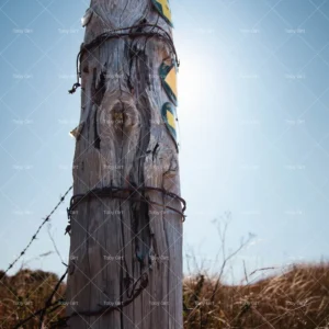 DIGITAL Waymarker in brush