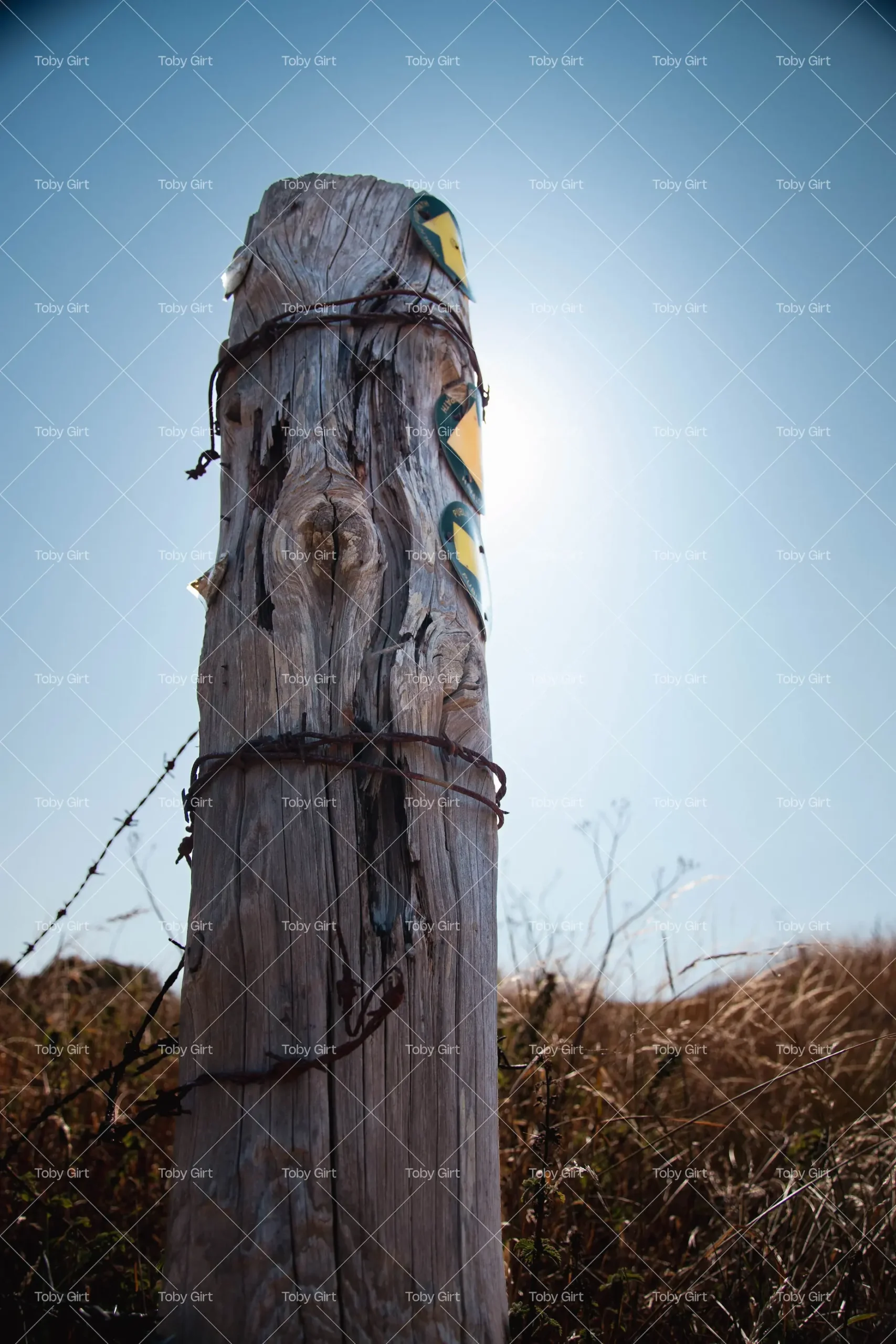 Waymarker in brush