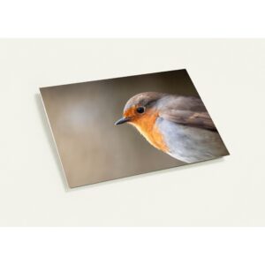 A Pack of 10 Robin Greeting Cards