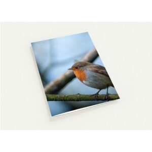 A Pack of 10 Christmas Cards – Robin